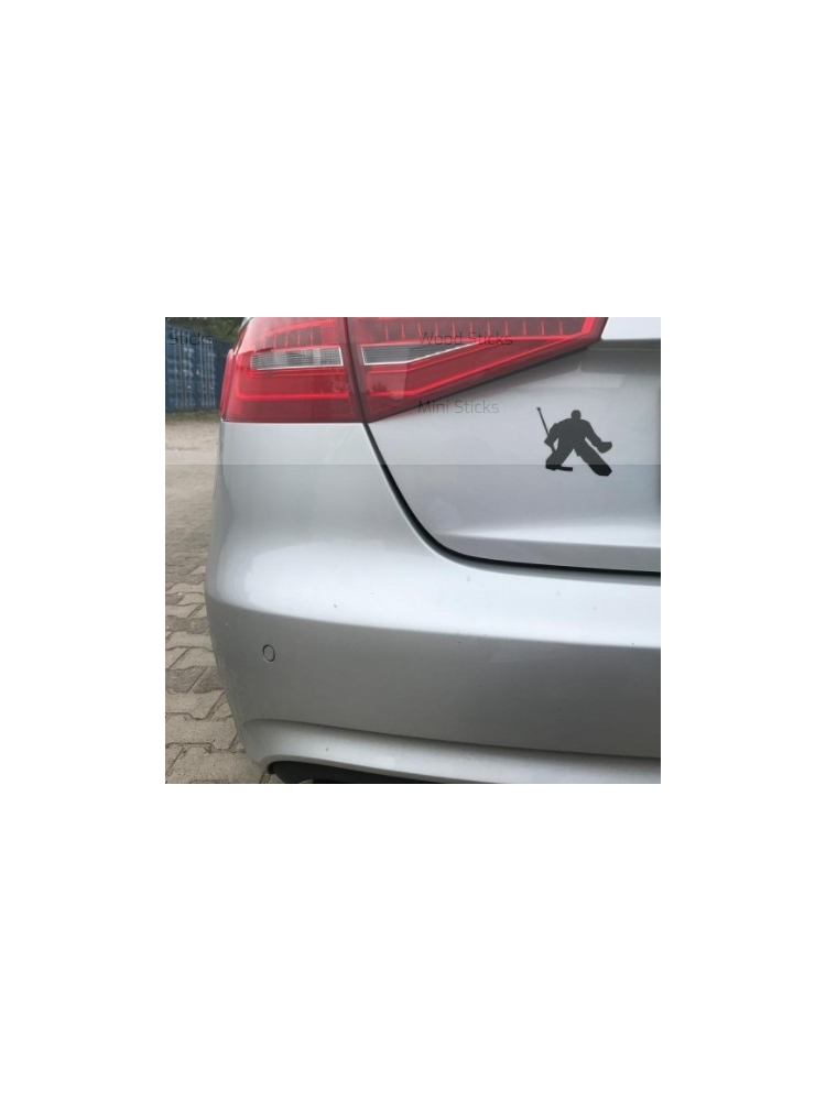 LIPDUKAS ANT AUTOMOBILIO JUODAS  LEDO RITULIO VARTININKAS