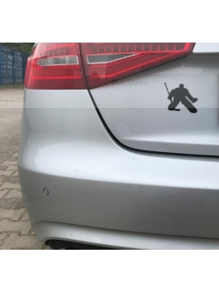 LIPDUKAS ANT AUTOMOBILIO JUODAS  LEDO RITULIO VARTININKAS